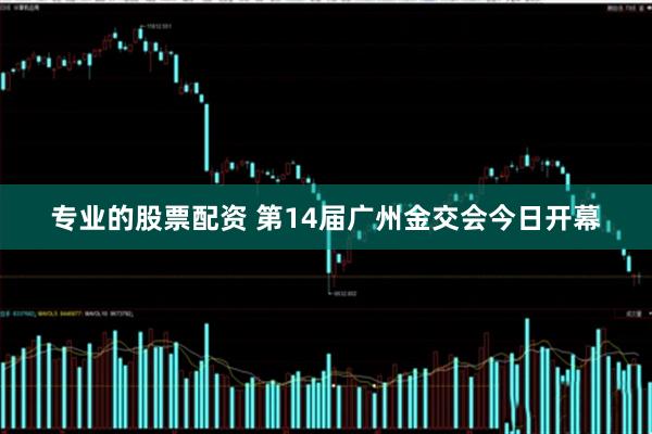 专业的股票配资 第14届广州金交会今日开幕