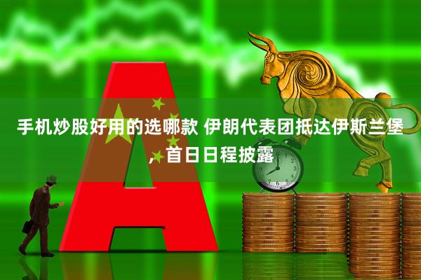 手机炒股好用的选哪款 伊朗代表团抵达伊斯兰堡，首日日程披露